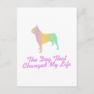 Postal Boston Terrier