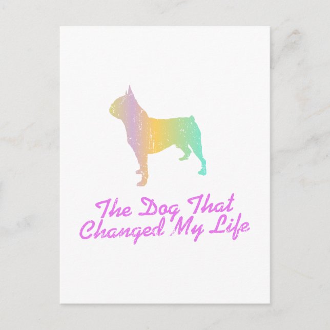 Postal Boston Terrier (Anverso)