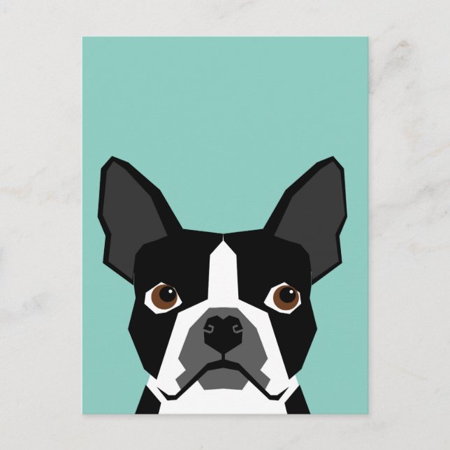 Postal Boston Terrier (Anverso)