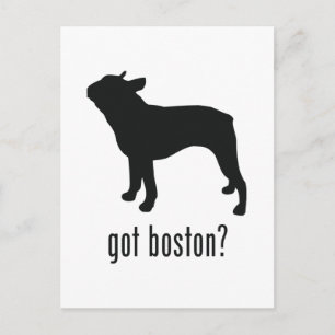 Postal Boston Terrier