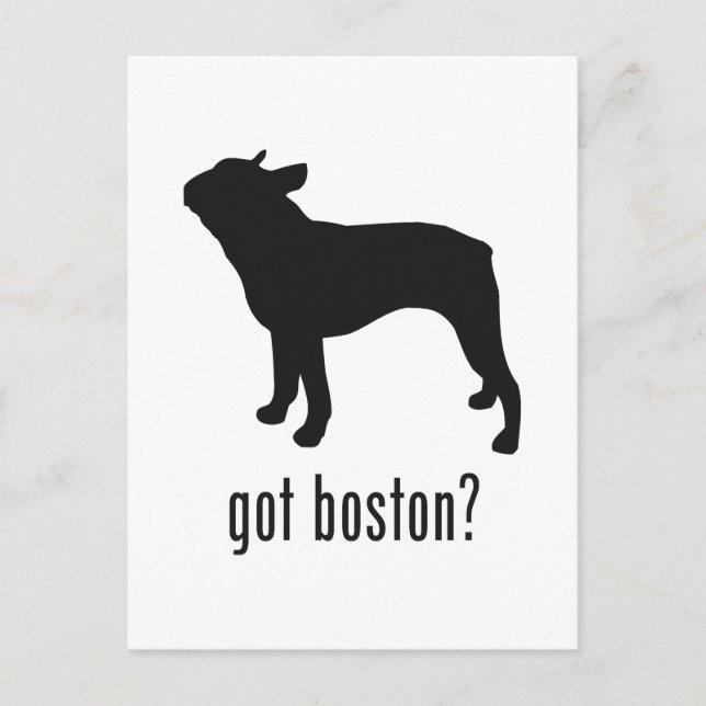 Postal Boston Terrier (Anverso)