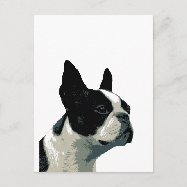 Postal Boston Terrier (Anverso)