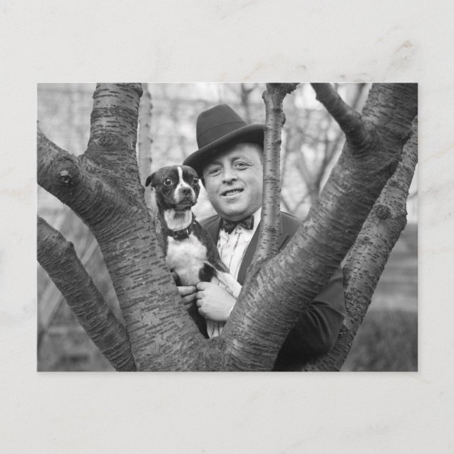 Postal Boston Terrier, años 1920 (Anverso)