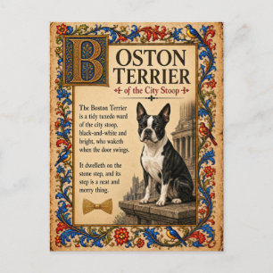 Postal Boston Terrier, Arte de Bestiario Medieval