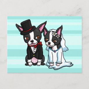Postal Boston Terrier Bride y Groom