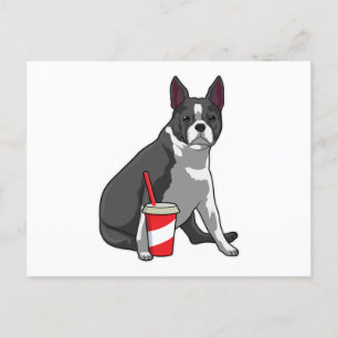 Postal Boston Terrier con bebida