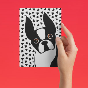 Postal Boston Terrier Cute Negro y Blanco