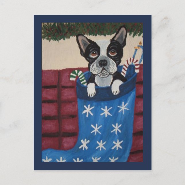 Postal Boston Terrier de Navidad en una Media (Anverso)