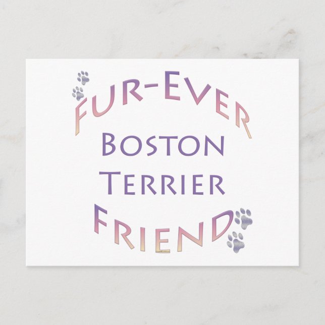 Postal Boston Terrier Furever (Anverso)