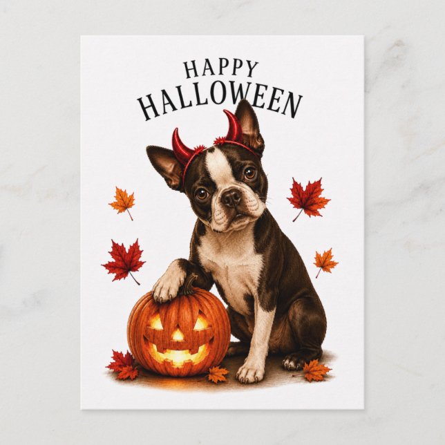 Postal Boston Terrier Halloween (Anverso)