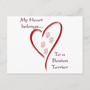 Postal Boston Terrier Heart Pertenece