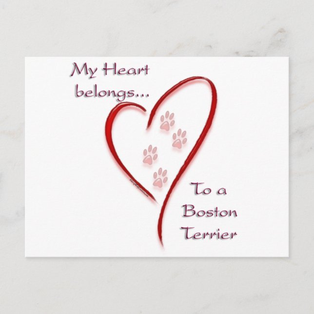 Postal Boston Terrier Heart Pertenece (Anverso)