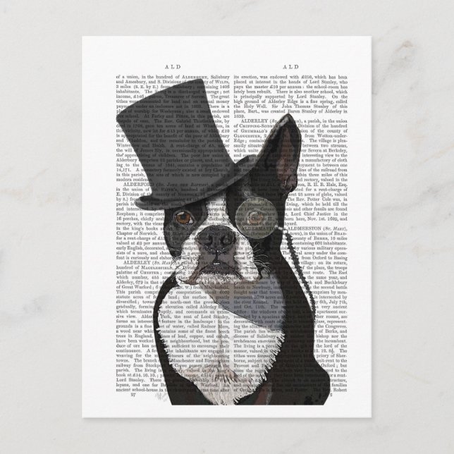 Postal Boston Terrier, hedor formal y Gorra (Anverso)