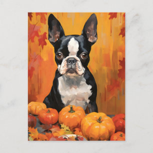 Postal Boston Terrier Otoño Día de Acción de Gracias 