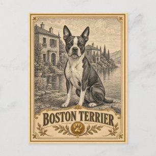 Postal Boston Terrier, Patrimonio Vintage Perro