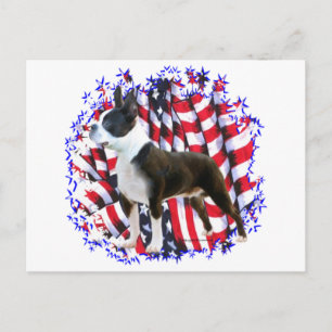 Postal Boston Terrier Patriot