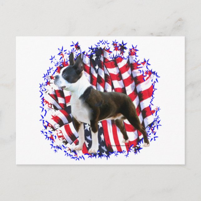 Postal Boston Terrier Patriot (Anverso)