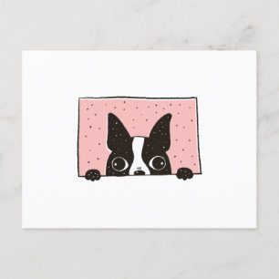 Postal Boston Terrier Peeking