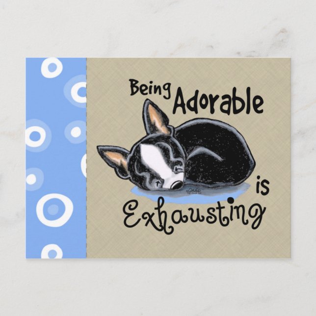 Postal Boston Terrier Ser Adorable (Anverso)