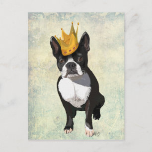 Postal Boston Terrier y Corona
