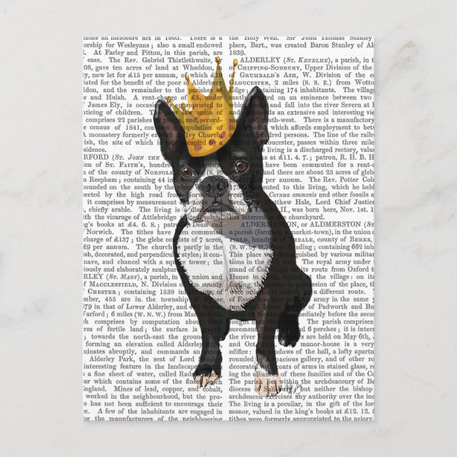 Postal Boston Terrier Y Crown (Anverso)
