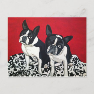 Postal Boston Terriers