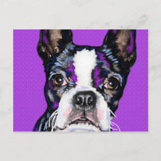 Postal BostonTerrier