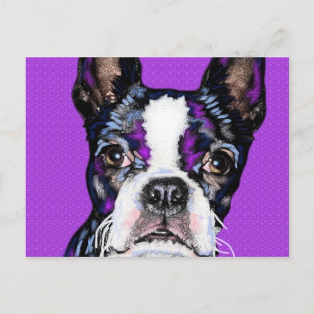 Postal BostonTerrier (Anverso)