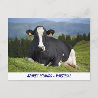 Postal Bota de Holstein