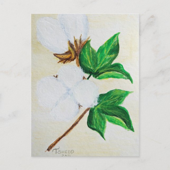 postal botánica de algodón (Anverso)