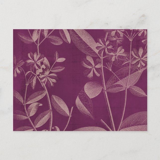 Postal Botánica moderna III (Anverso)