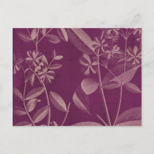 Postal Botánica moderna III