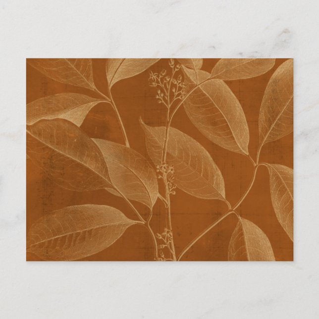 Postal Botánica moderna VI (Anverso)