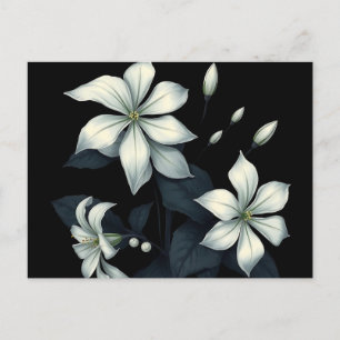 Postal Botánica oscura del jazmín floreciente nocturno