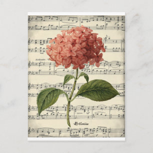 Postal botánica vintage con hortensia rosa