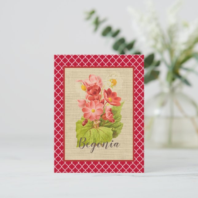 Postal Botánica y cuatrefoil de la Begonia Roja (Anverso de pie)