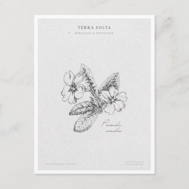 Postal Botanical Illustration 2 'The Awakening of Spring' (Anverso)