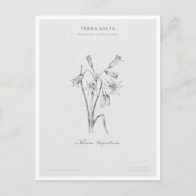 Postal Botanical Illustration 4 'The Awakening of Spring' (Anverso)