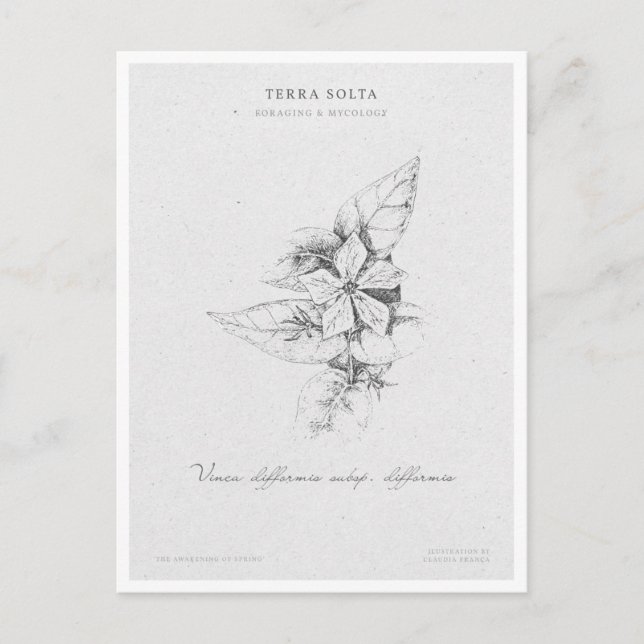 Postal Botanical Illustration 5 'The Awakening of Spring' (Anverso)