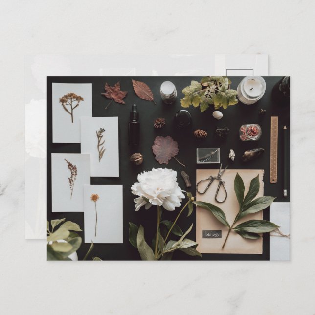 Postal Botanical Science Flat Lay Academia (Anverso / Reverso)