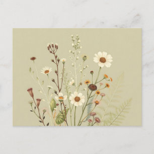 Postal Botánico Antiguo de Flores Silvestres y Helechos