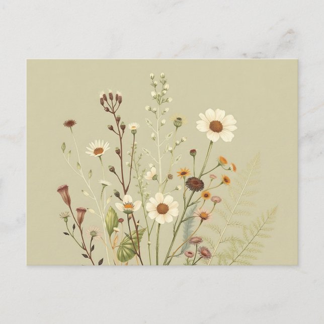 Postal Botánico Antiguo de Flores Silvestres y Helechos (Anverso)