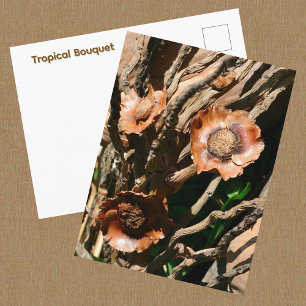 Postal Botánico de Coco Seco Bouquet Tropical
