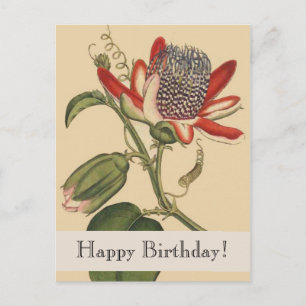 Postal Botánicos Vintage Happy Birday Postcard