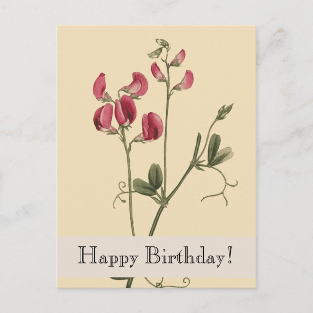 Postal Botánicos Vintage Happy Birday Postcard (Anverso)