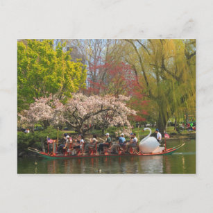 Postal Bote de cisnes en el jardín público de Boston en p