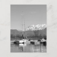 Botes De Vela Negra Y Blanca En La Fotografía Del 