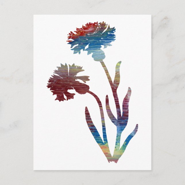 Postal botón de soltero (Anverso)