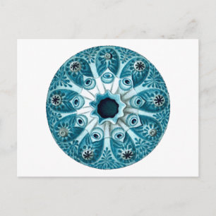 Postal Botryllus Polycyclus Ernst Haeckel Bella Artes