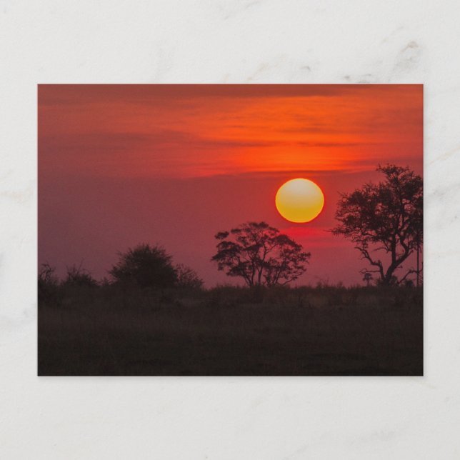 Postal Botsuana Okavango Delta Sunset (Anverso)